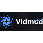 Vidmud